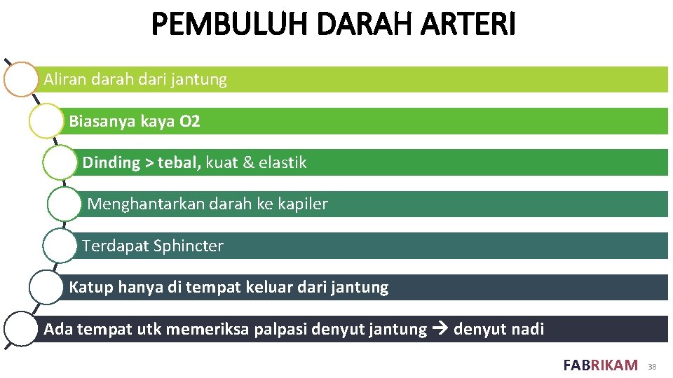 PEMBULUH DARAH ARTERI Aliran darah dari jantung Biasanya kaya O 2 Dinding > tebal,