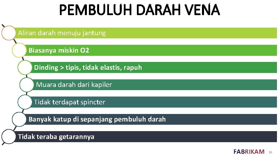 PEMBULUH DARAH VENA Aliran darah menuju jantung Biasanya miskin O 2 Dinding > tipis,