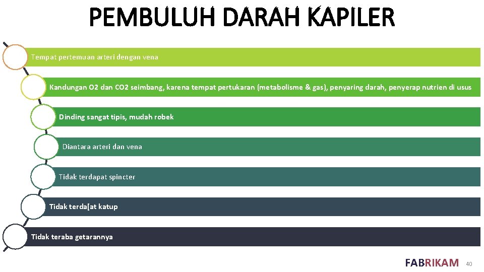 PEMBULUH DARAH KAPILER Tempat pertemuan arteri dengan vena Kandungan O 2 dan CO 2