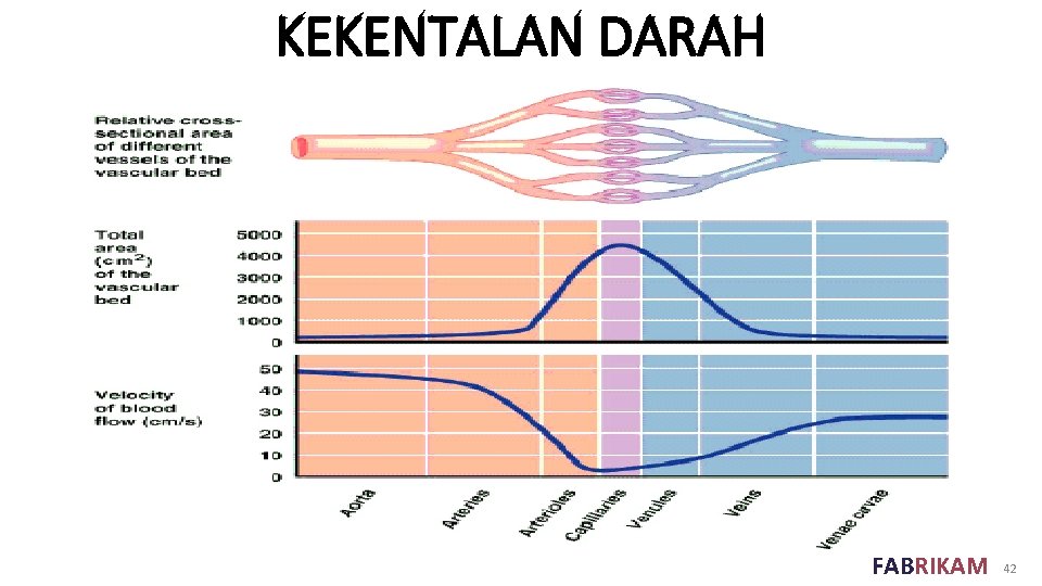 KEKENTALAN DARAH FABRIKAM 42 