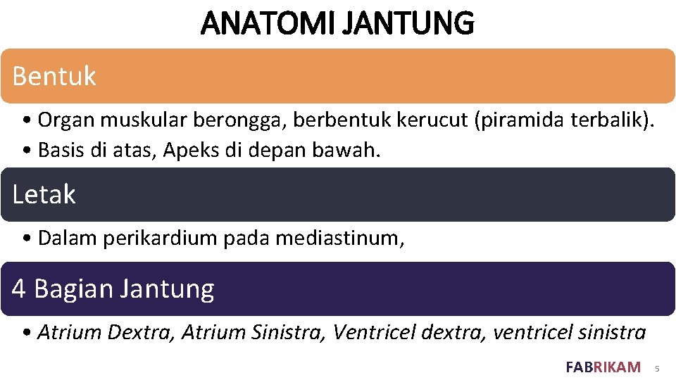 ANATOMI JANTUNG Bentuk • Organ muskular berongga, berbentuk kerucut (piramida terbalik). • Basis di