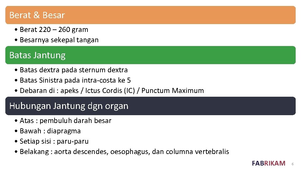 Berat & Besar • Berat 220 – 260 gram • Besarnya sekepal tangan Batas