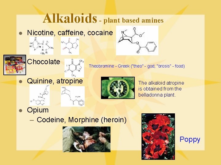 Alkaloids - plant based amines l Nicotine, caffeine, cocaine l Chocolate l Quinine, atropine