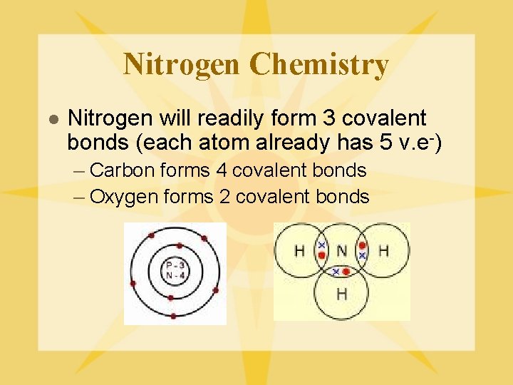 Nitrogen Chemistry l Nitrogen will readily form 3 covalent bonds (each atom already has