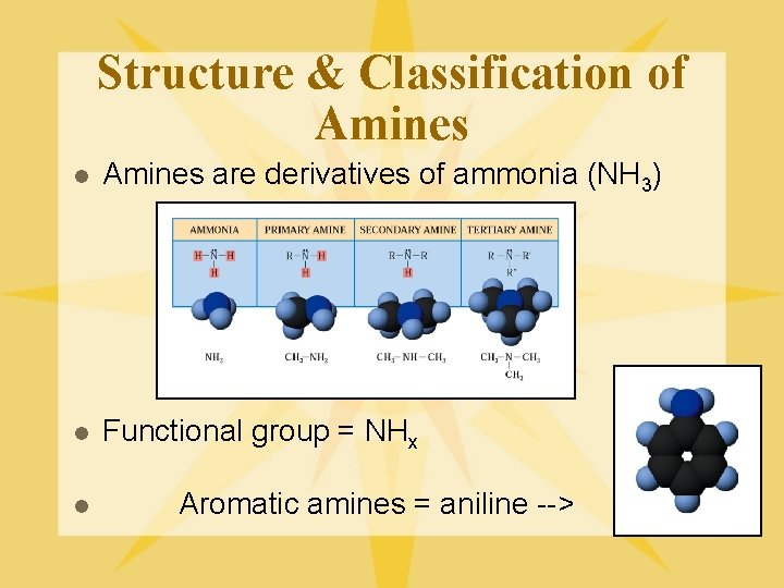 Structure & Classification of Amines l Amines are derivatives of ammonia (NH 3) l