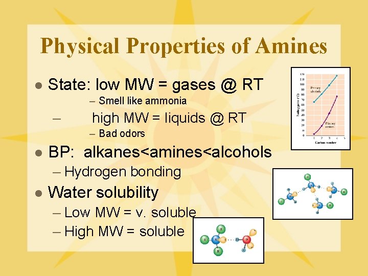 Physical Properties of Amines l State: low MW = gases @ RT – Smell