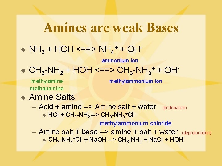 Amines are weak Bases l NH 3 + HOH <==> NH 4+ + OHammonium