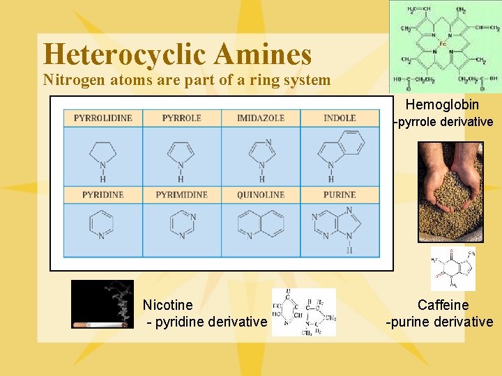 Heterocyclic Amines Nitrogen atoms are part of a ring system Hemoglobin -pyrrole derivative Nicotine