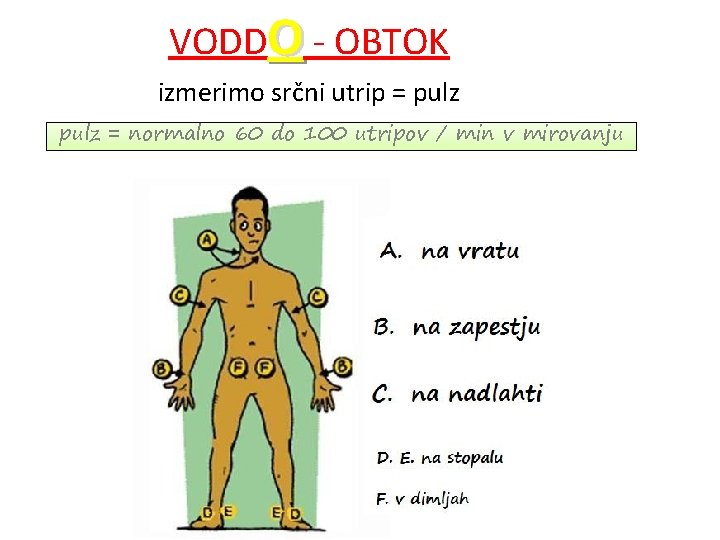 VODDO - OBTOK izmerimo srčni utrip = pulz = normalno 60 do 100 utripov