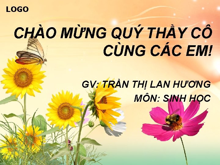 LOGO CHÀO MỪNG QUÝ THẦY CÔ CÙNG CÁC EM! GV: TRẦN THỊ LAN HƯƠNG