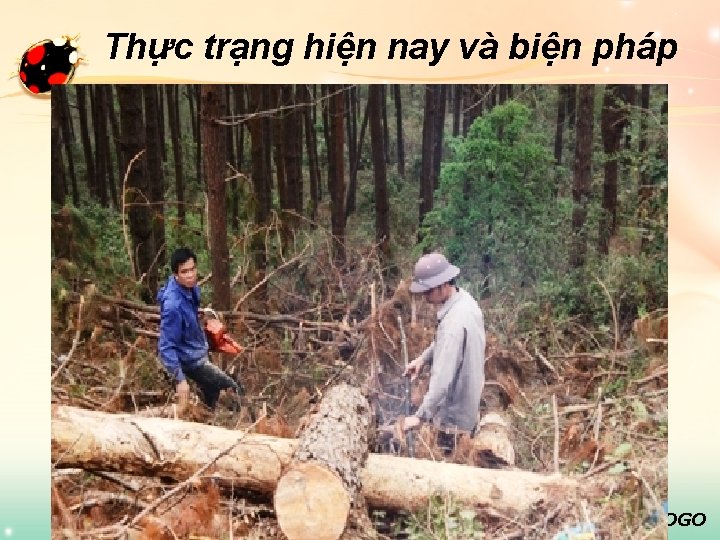 Thực trạng hiện nay và biện pháp www. themegallery. com LOGO 