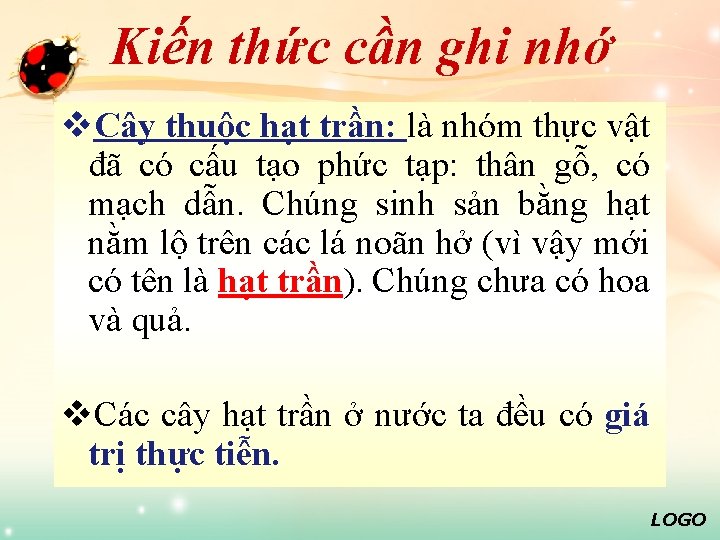 Kiến thức cần ghi nhớ v. Cây thuộc hạt trần: là nhóm thực vật