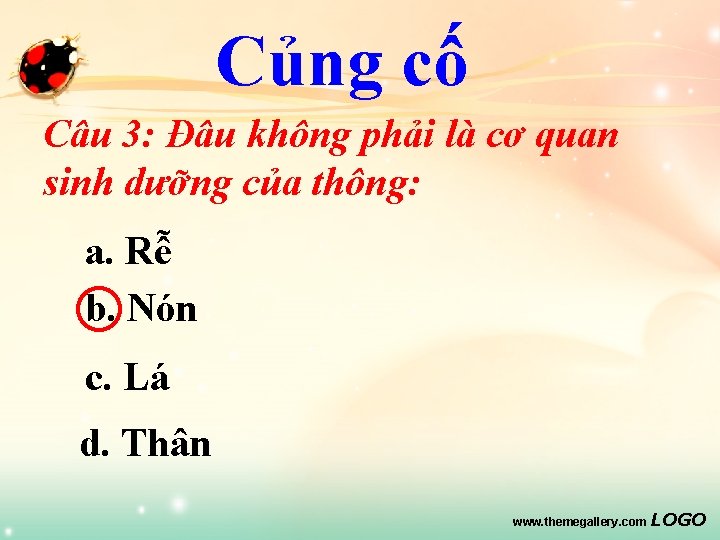 Củng cố Câu 3: Đâu không phải là cơ quan sinh dưỡng của thông: