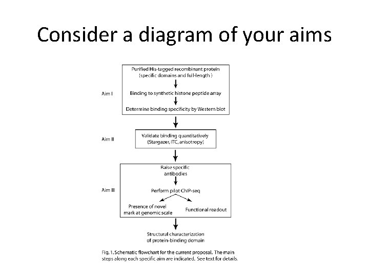 Consider a diagram of your aims 