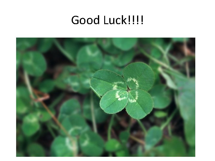 Good Luck!!!! 