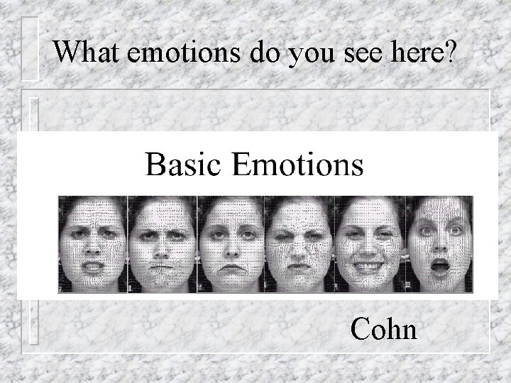 What emotions do you see here? Cohn 