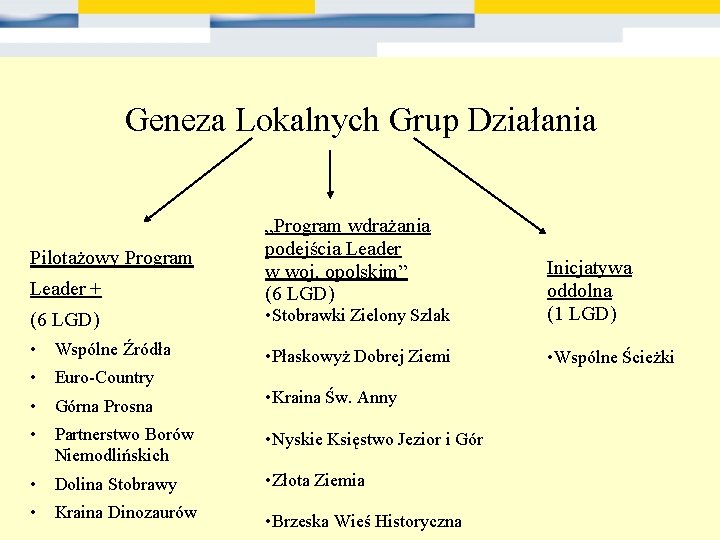 Geneza Lokalnych Grup Działania Leader + „Program wdrażania podejścia Leader w woj. opolskim” (6