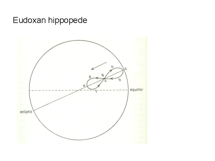 Eudoxan hippopede 