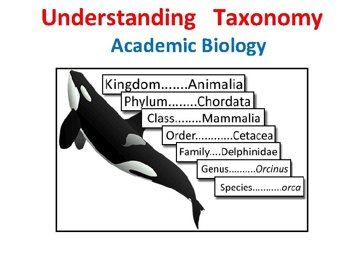 Understanding Taxonomy Academic Biology 