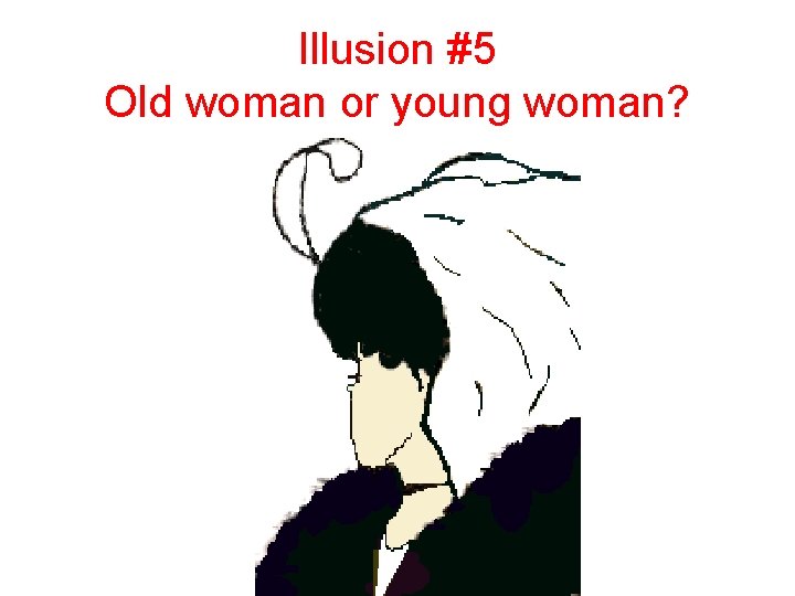 Illusion #5 Old woman or young woman? 