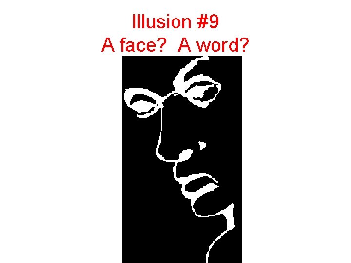 Illusion #9 A face? A word? 