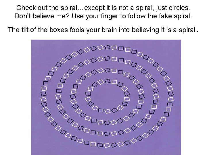 Check out the spiral…except it is not a spiral, just circles. Don’t believe me?