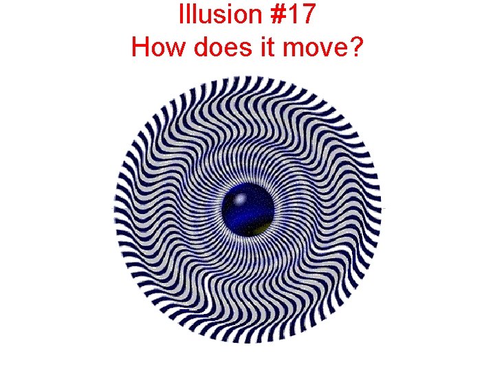 Illusion #17 How does it move? 