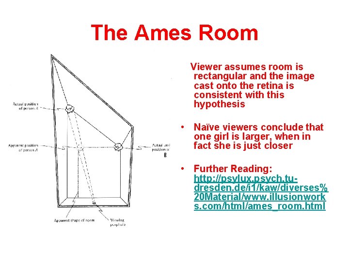 The Ames Room Viewer assumes room is rectangular and the image cast onto the