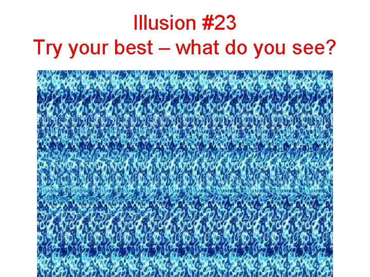 Illusion #23 Try your best – what do you see? 