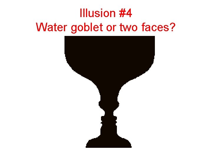 Illusion #4 Water goblet or two faces? 