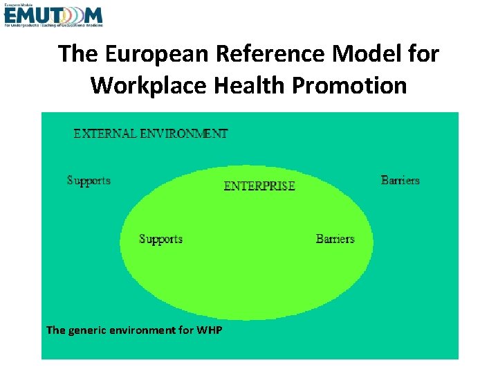 The European Reference Model for Workplace Health Promotion The generic environment for WHP 