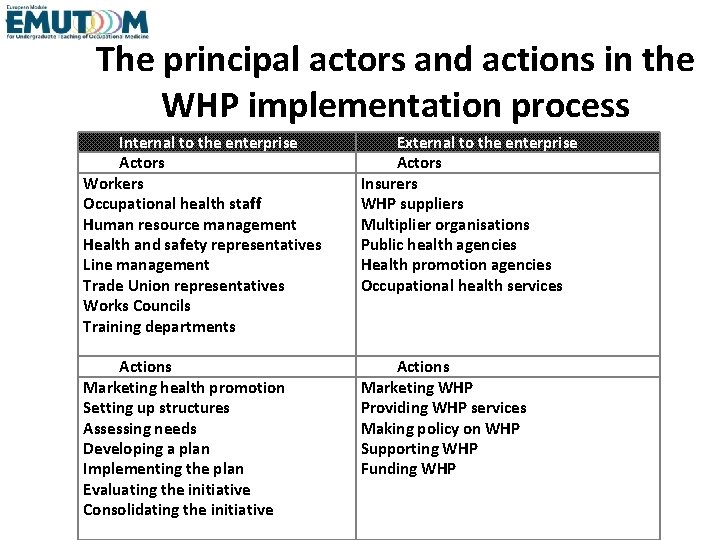 The principal actors and actions in the WHP implementation process Internal to the enterprise The principal actors and actions in the WHP implementation process Internal to the enterprise