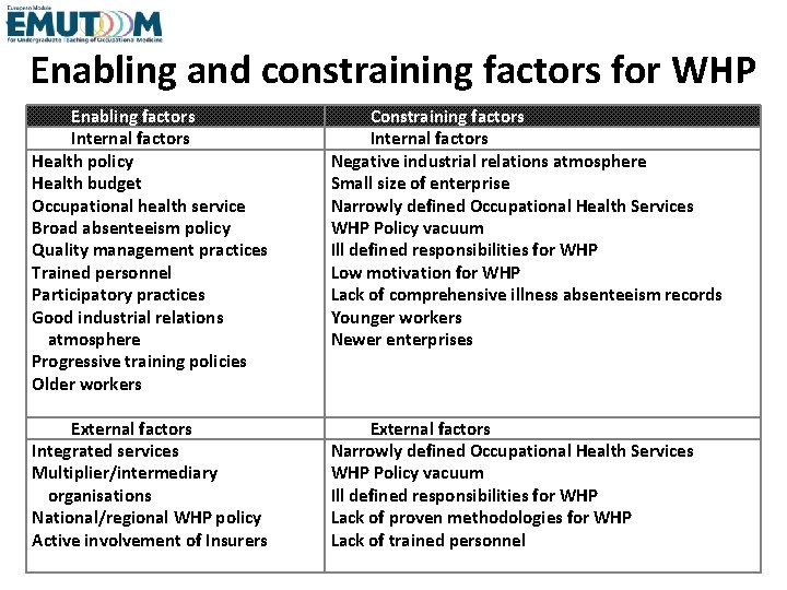 Enabling and constraining factors for WHP Enabling factors Internal factors Health policy Health budget