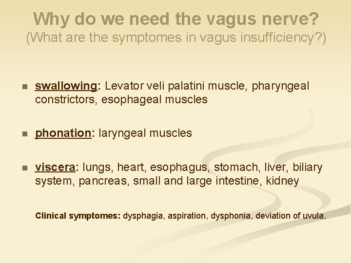 Why do we need the vagus nerve? (What are the symptomes in vagus insufficiency?