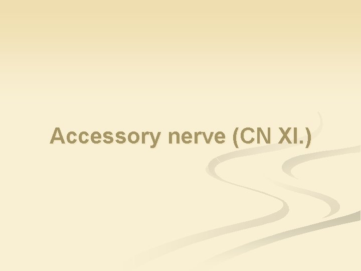 Accessory nerve (CN XI. ) 