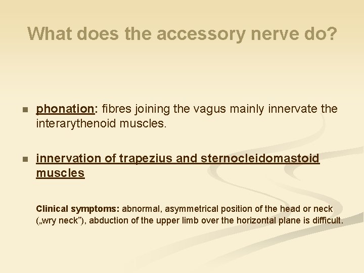 What does the accessory nerve do? n phonation: fibres joining the vagus mainly innervate