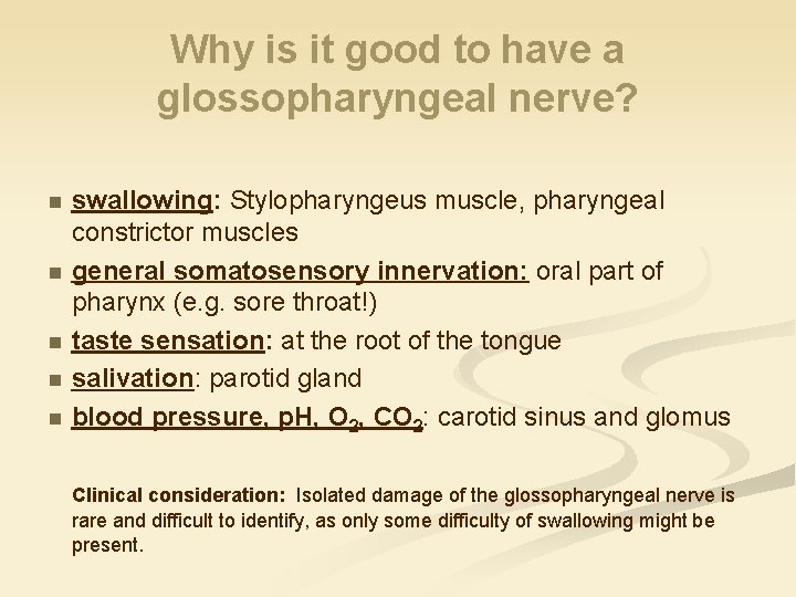 Why is it good to have a glossopharyngeal nerve? n n n swallowing: Stylopharyngeus
