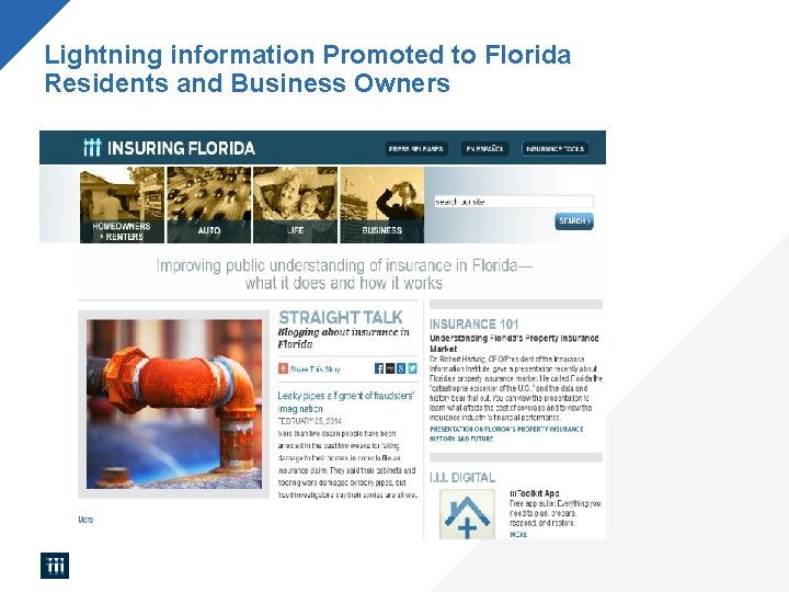 Lightning information Promoted to Florida Residents and Business Owners 