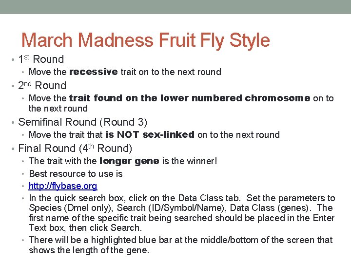 March Madness Fruit Fly Style • 1 st Round • Move the recessive trait