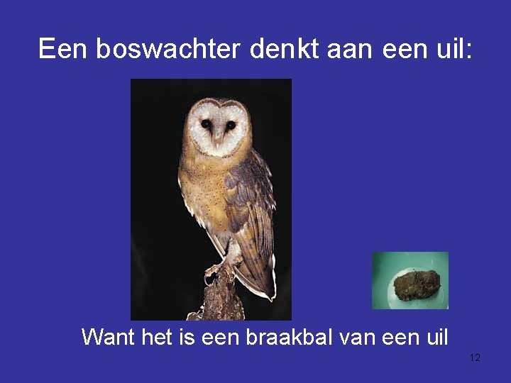 Een boswachter denkt aan een uil: Want het is een braakbal van een uil