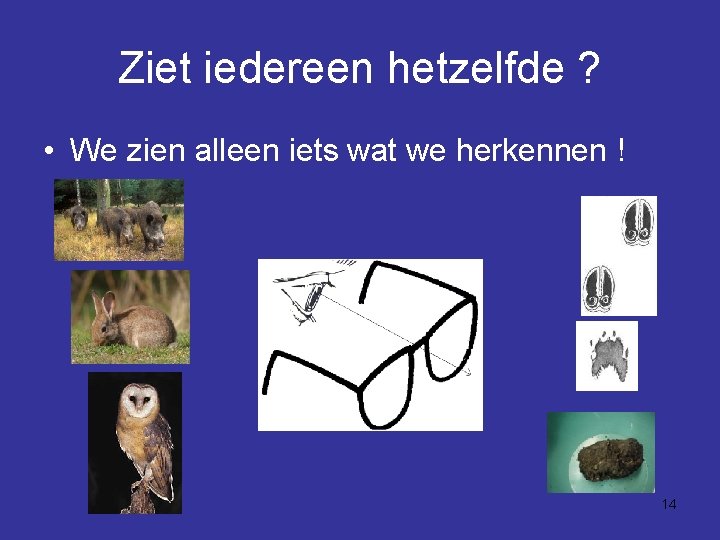 Ziet iedereen hetzelfde ? • We zien alleen iets wat we herkennen ! 14