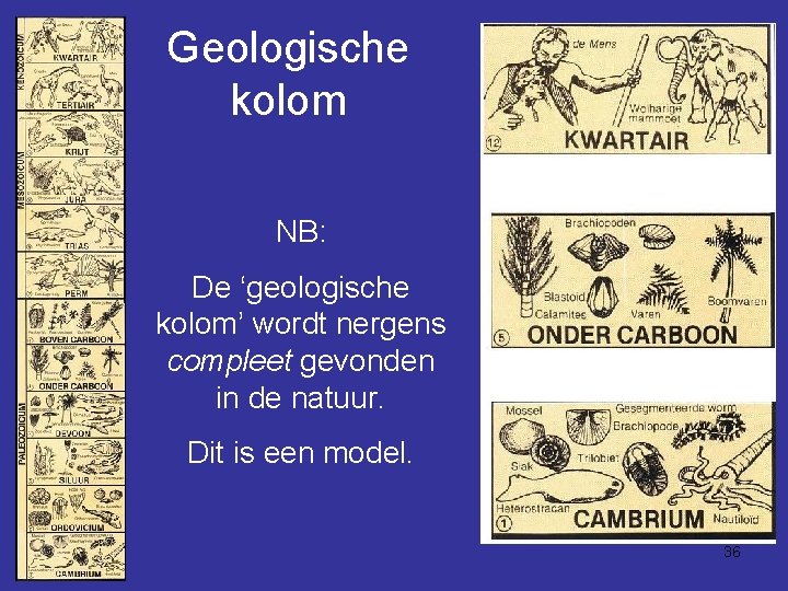 Geologische kolom NB: De ‘geologische kolom’ wordt nergens compleet gevonden in de natuur. Dit