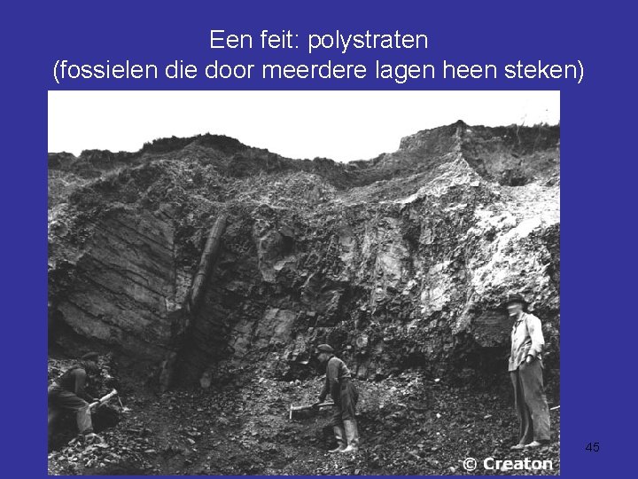 Een feit: polystraten (fossielen die door meerdere lagen heen steken) 45 