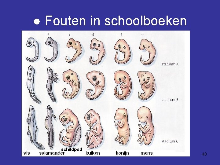 ● Fouten in schoolboeken 48 