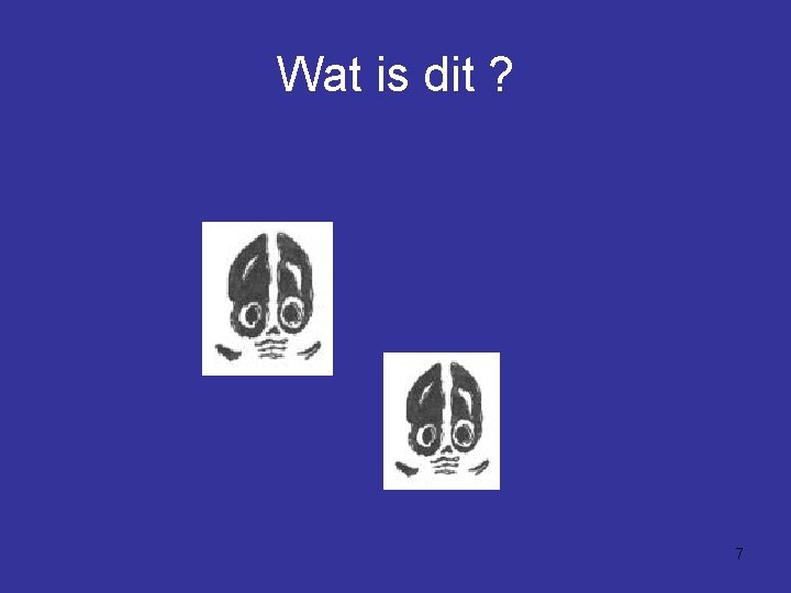 Wat is dit ? 7 