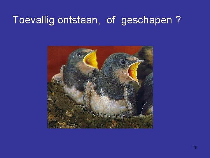 Toevallig ontstaan, of geschapen ? 76 