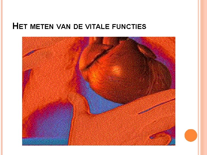 HET METEN VAN DE VITALE FUNCTIES 