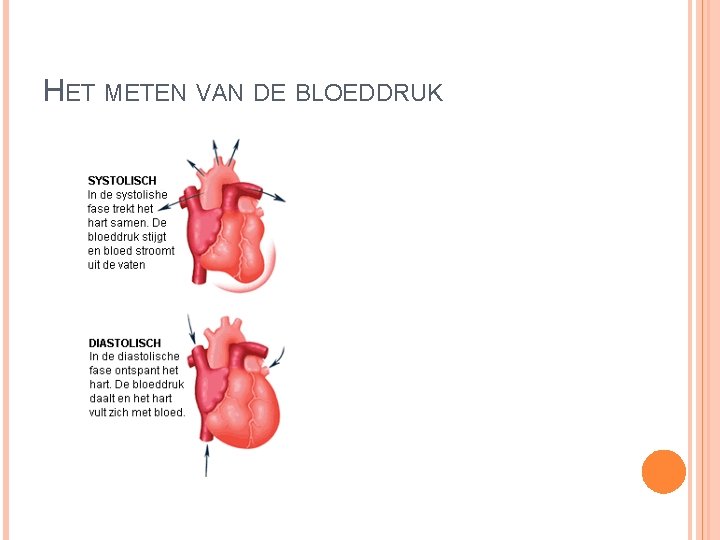 HET METEN VAN DE BLOEDDRUK 