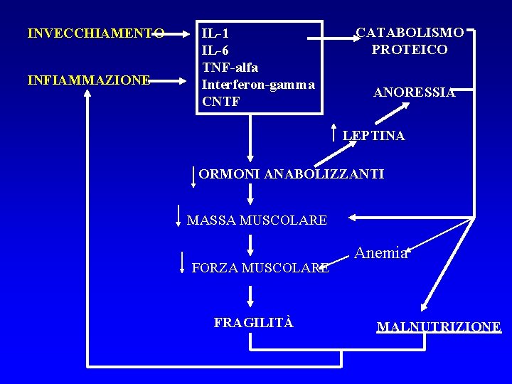 INVECCHIAMENTO INFIAMMAZIONE IL-1 IL-6 TNF-alfa Interferon-gamma CNTF CATABOLISMO PROTEICO ANORESSIA LEPTINA ORMONI ANABOLIZZANTI MASSA