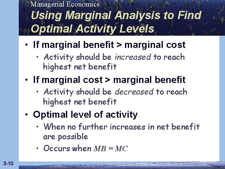 Managerial Economics Using Marginal Analysis to Find Optimal Activity Levels • If marginal benefit